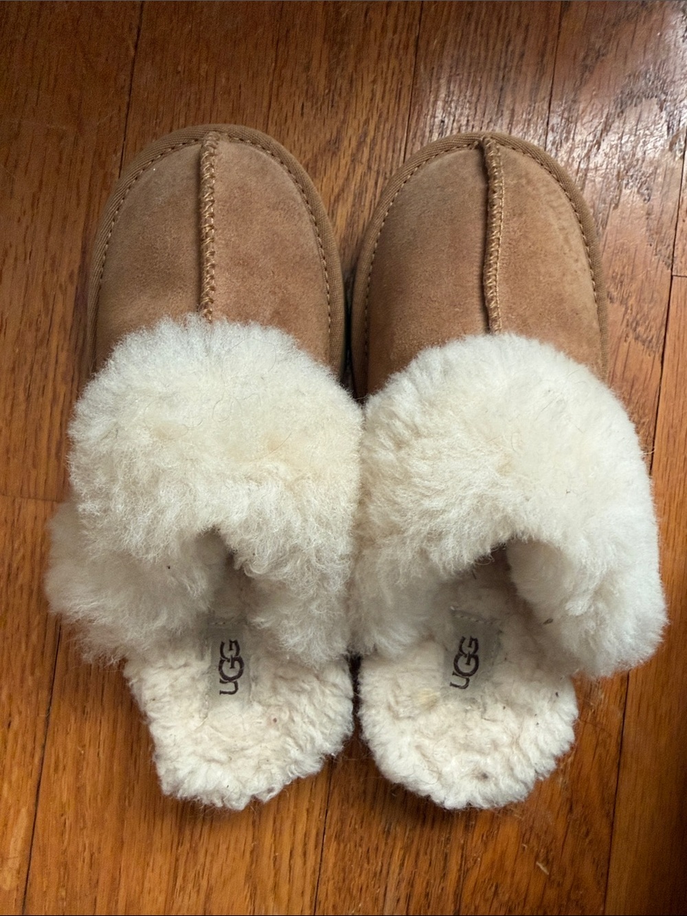 UGG Chestnut Suede Shearling Clog Slippers - Cream Lining